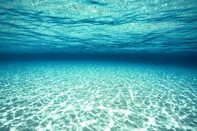 Underwater Wallpaper Backgrounds 55 Cool