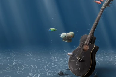 Fish Under Water Images 6.jpg