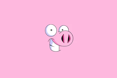 Download Wallpapers 1920x1080 Pig, Face, Smile Full HD 1080p HD ...