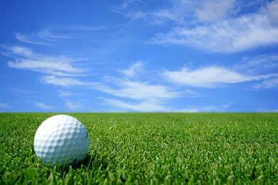 New England Public Golf News