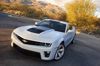 Download Camaro Wallpapers Picture