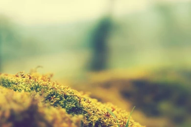 iPad Air Wallpapers, iPad Air Backgrounds, iPad Air Themes   Part 4