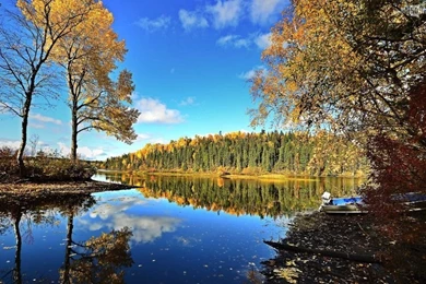 Colors Of Fall HD Wallpapers