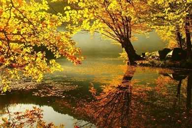 Fall Hd Wallpapers HD Wallpapers Lovely