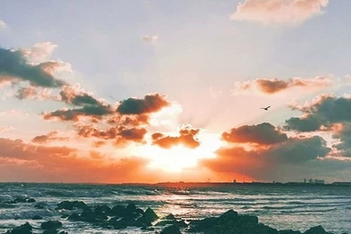 Ocean iPhone 5s Wallpapers