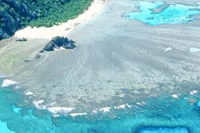 640x1136 Island Ocean & Reef Iphone 5 Wallpapers