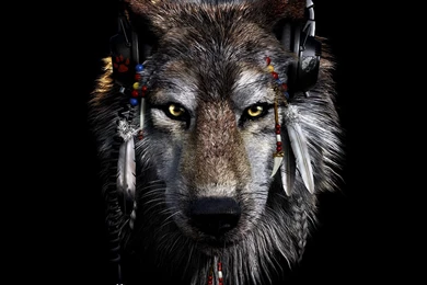Wolf HD Photo Wallpapers 14167   HD Wallpapers Site
