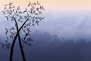Free Bamboo Stock Background Images » Backgrounds Etc