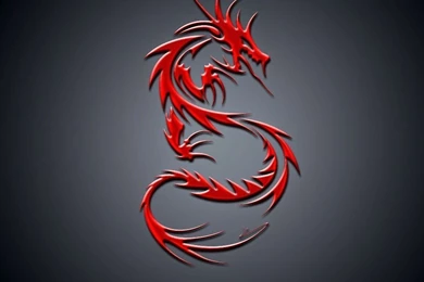 Chinese Dragon Wallpapers HD & Backgrounds ~ Desktop Wallpapers ...