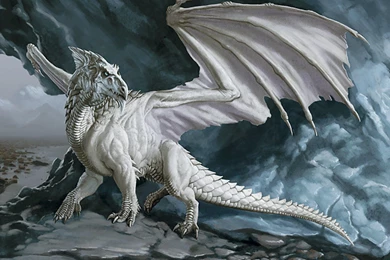 White Dragon Wallpapers