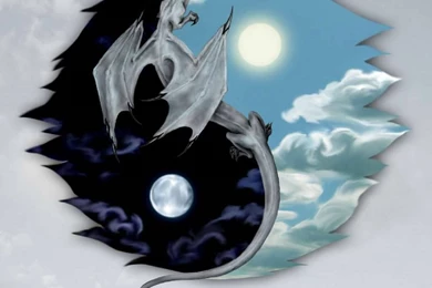 Yin Yang Dragon   Dragons Wallpapers