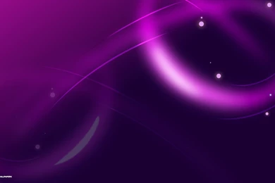 Purple Abstract Lines Wallpapers 6/11