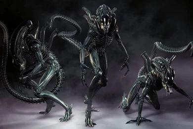 File:1024px Xenomorph Alien Aliens Desktop 1920x1080 Hd wallpapers ...