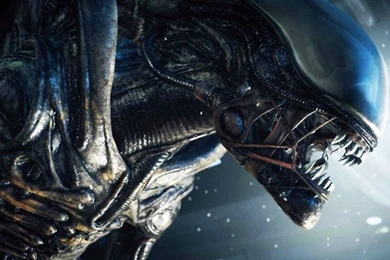 10 Alien Isolation Wallpapers