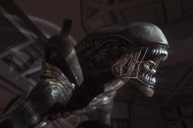 Alien Isolation Wallpapers 1920x1080   Wallpaper.