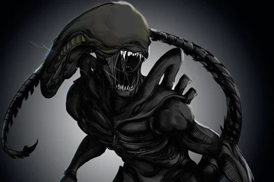 Alien Isolation Wallpapers By MichelDG On DeviantArt