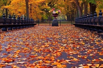 Nyc Ios Wallpapers   Wallpapers