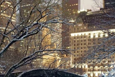 Download Wallpapers 750x1334 Winter, Park, America, Bridge, New ...