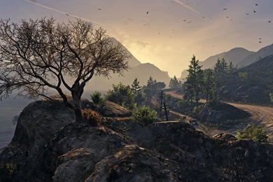 279 Grand Theft Auto V HD Wallpapers