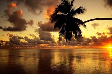 Sunrise Wallpapers 1080p