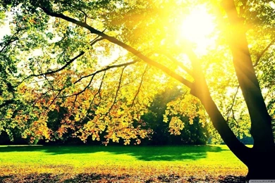 Autumn Sunrise HD Desktop Wallpapers : High Definition : Fullscreen ...