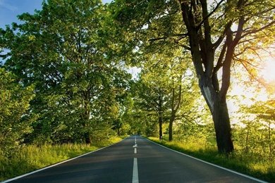 Free Wallpapers   Free Nature Wallpapers   HD Landscape 2 Wallpapers ...