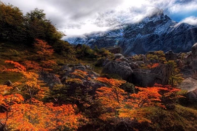 Top 1280 X 1024 Hd Wallpaper Images For Pinterest