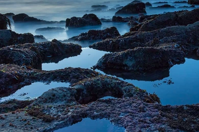 IWallpapers   Apple iPad Air 2 Hd Wallpapers