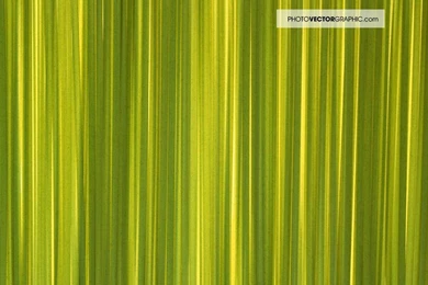 Background Food Spices 2.jpg