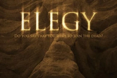 Zelda Elegy iPhone 5 Wallpapers