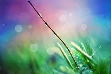 Beautiful Rain HD Wallpapers For Desktop