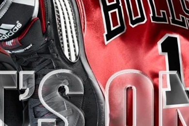 Adidas NBA Chicago Bulls iPhone 5 Wallpapers