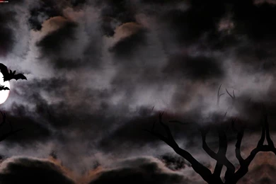 Flying Bats Halloween Twitter Backgrounds   Twitterevolutions