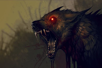 Wallpapers Furry Murry Picture Depository 1920x1080