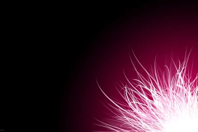 Pink Wallpapers 56d   Wallpapers Six