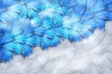 Furry! [Wallpaper] By Niden231321 On DeviantArt