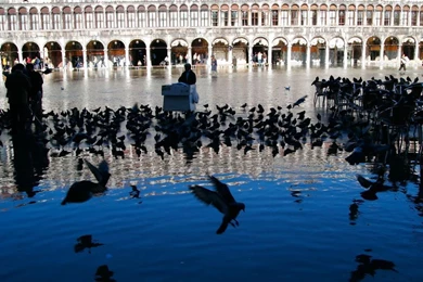 Venice   Italy Wallpapers (622983)   Fanpop