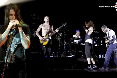 4K Ultra HD Red Hot Chili Peppers Wallpapers HD, Desktop ...