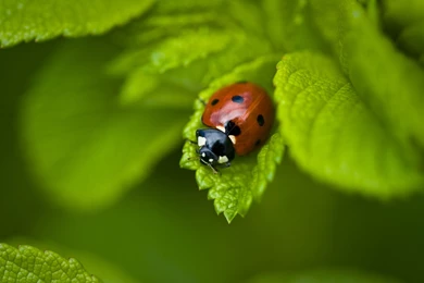 Cool Wallpapers For Laptops   Wallpapers HD Wide