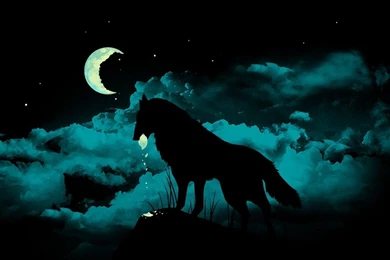 Black Wolf Wallpapers Wallpapers HD Wide