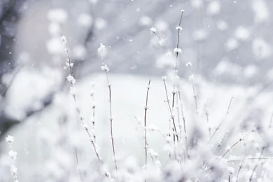 Winter Desktop Backgrounds
