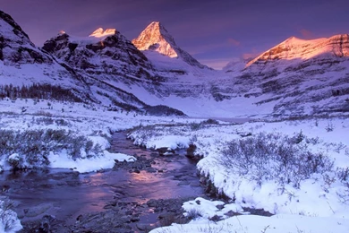 Winter Scenery Wallpaper Backgrounds