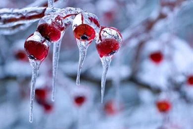 Winter nature wallpaper desktop hd winter nature wallpapers hd background 9.jpg