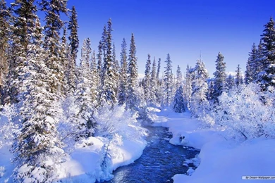Free Wallpapers   Free Nature Wallpapers   Winter Wonderland 10 ...