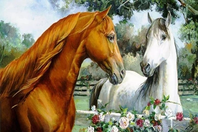Free Horses Wallpapers Hd ~ Toptenpack.com