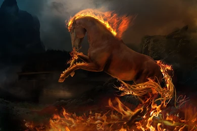 Fire Horse Wallpapers