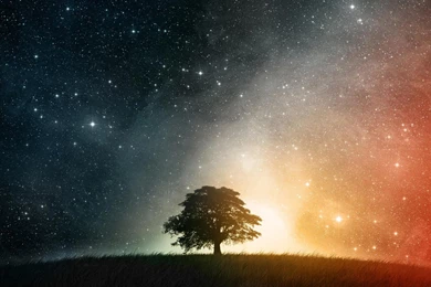 1920x1080 Night Stars Tree Desktop Wallpaper  Desktop Wallpapers ...