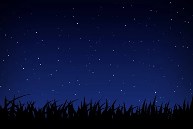Abstract, Night, Stars, Grass, Simple :: Wallpapers