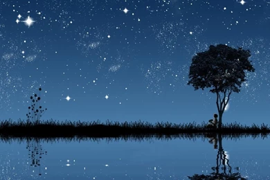 Trees Night Stars Lonely