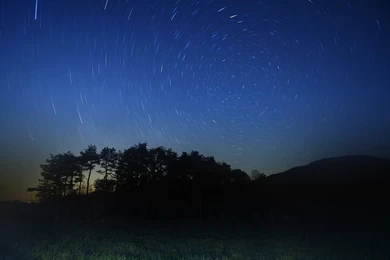 Night Stars Beautiful Grass Trees Hd Wallpapers